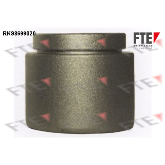 RKS8699020 - Piston, brake caliper 