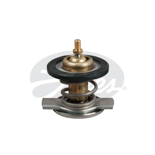 TH50187G1 - Thermostat, coolant 