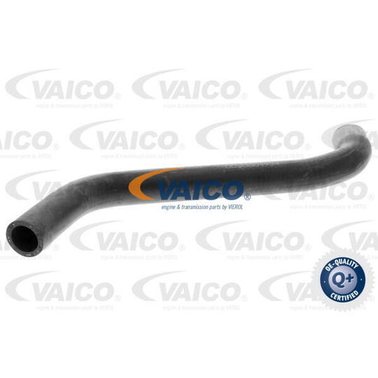 V10-0051 - Radiator Hose 