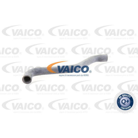 V10-0074 - Radiator Hose 