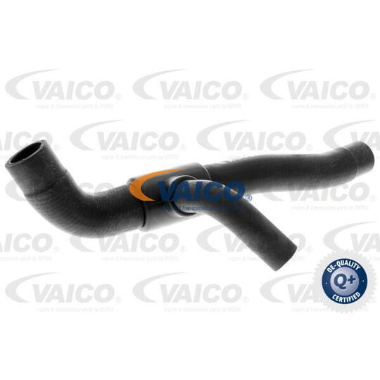 V10-0393 - Radiator Hose 