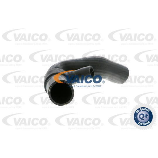 V10-2875 - Charger Intake Hose 