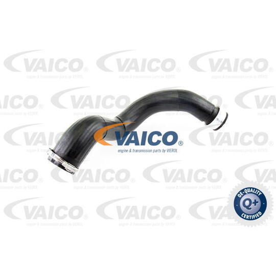 V10-2879 - Charger Intake Hose 