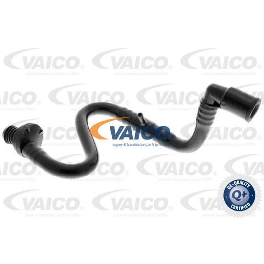 V10-3633 - Vacuum Hose, braking system 