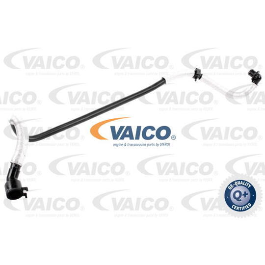 V10-3636 - Vacuum Hose, braking system 