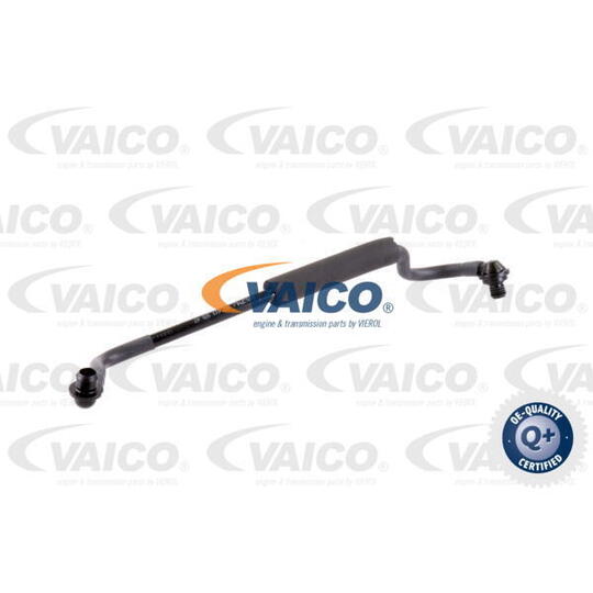 V10-3647 - Vacuum Hose, braking system 