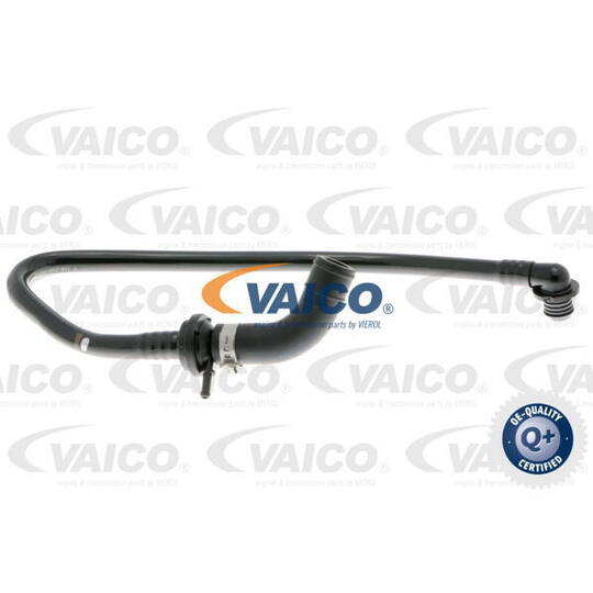 V10-3650 - Vacuum Hose, braking system 