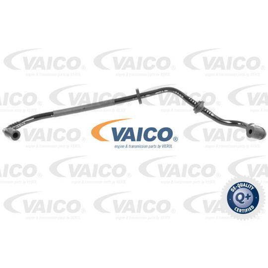 V10-3660 - Vacuum Hose, braking system 