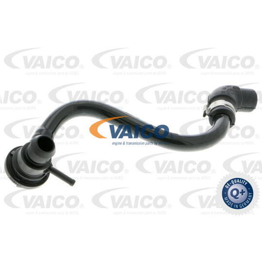 V10-3666 - Vacuum Hose, braking system 