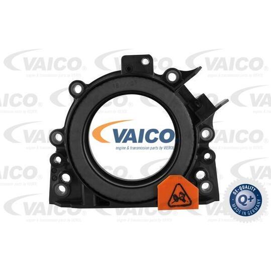 V10-3684 - Shaft Seal, crankshaft 