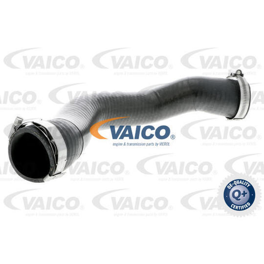 V10-3796 - Charger Intake Hose 