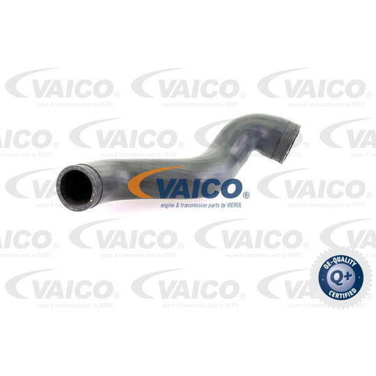 V10-4392 - Charger Intake Hose 