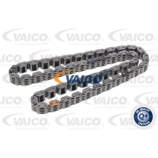 V10-4456 - Timing Chain 