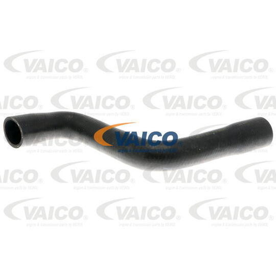 V10-4813 - Radiator Hose 