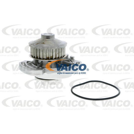 V10-50008 - Water pump 