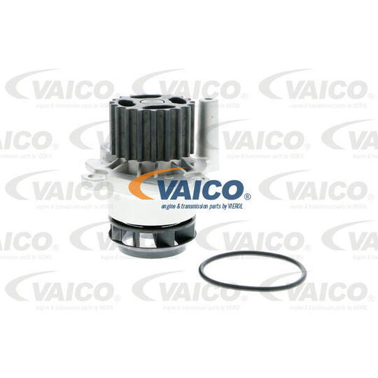 V10-50060-1 - Water pump 