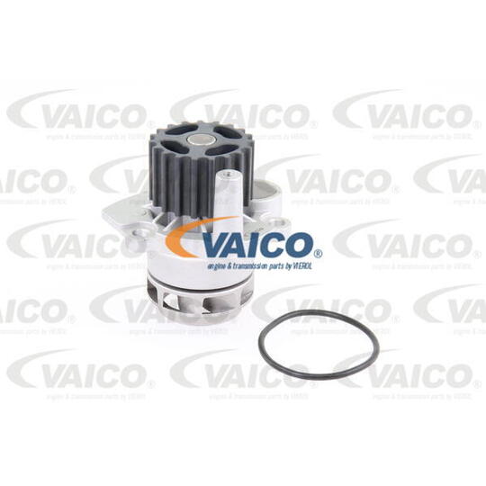 V10-50060 - Water pump 
