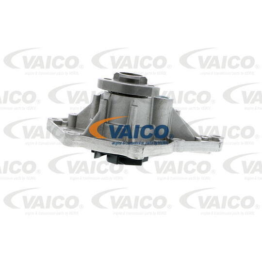 V10-50066 - Water pump 