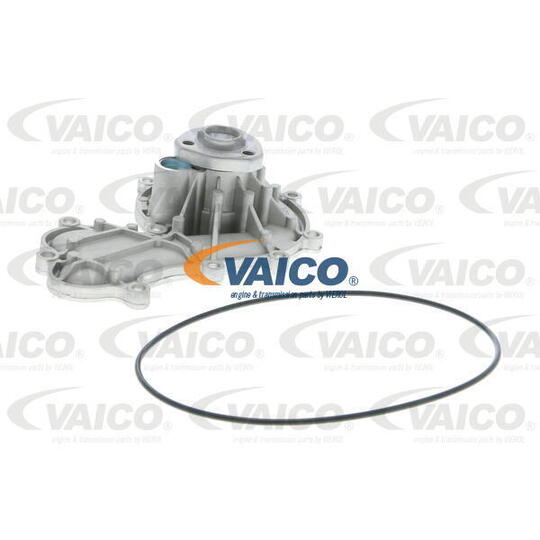 V10-50079 - Water pump 