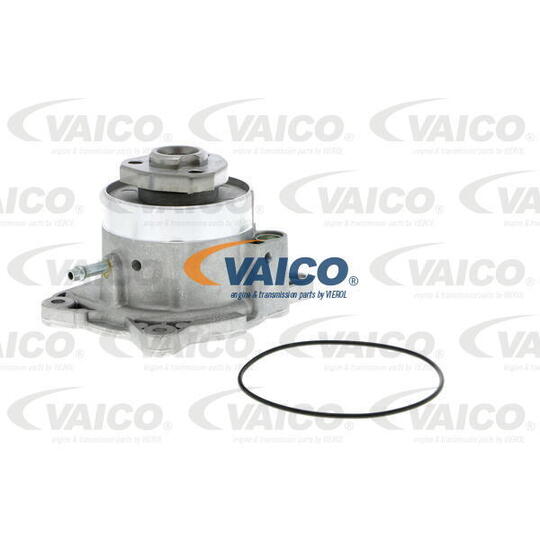 V10-50081 - Water pump 