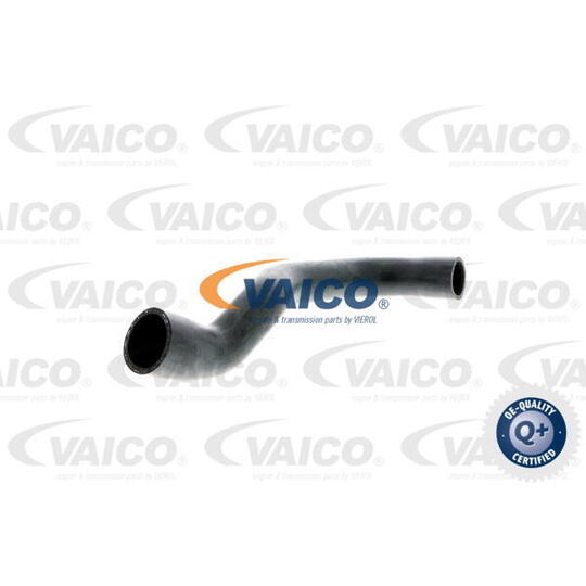 V20-0144 - Radiator Hose 