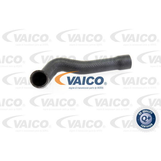 V20-1243 - Radiator Hose 