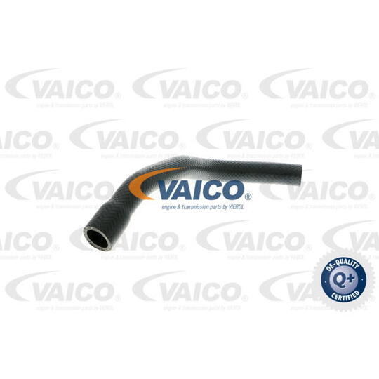 V20-1649 - Radiator Hose 