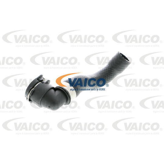 V20-1667 - Radiator Hose 