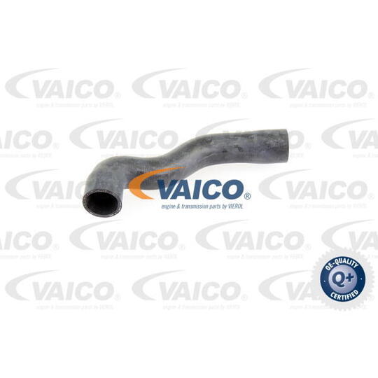 V20-1776 - Radiator Hose 