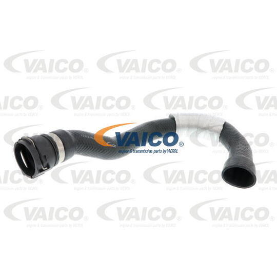 V20-2338 - Radiator Hose 