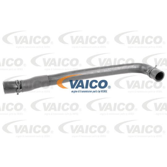 V20-2949 - Radiator Hose 