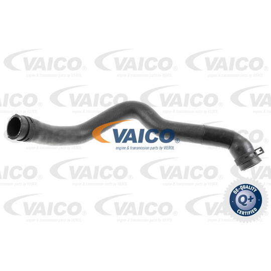 V20-3248 - Radiator Hose 