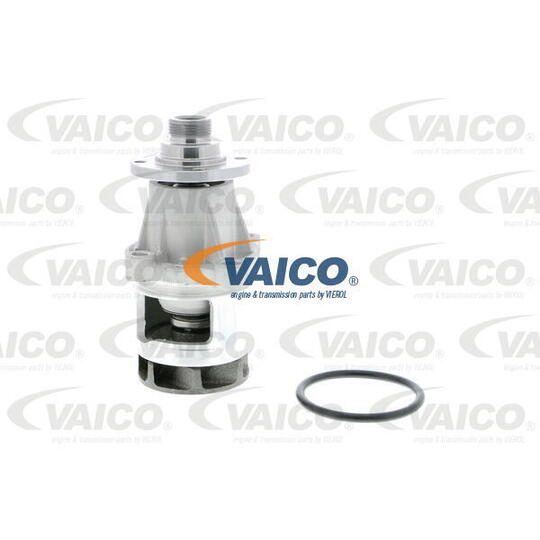 V20-50013 - Water pump 