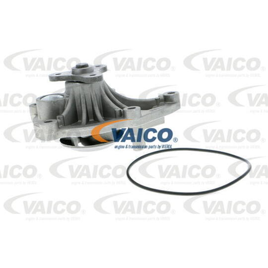 V20-50045 - Water pump 