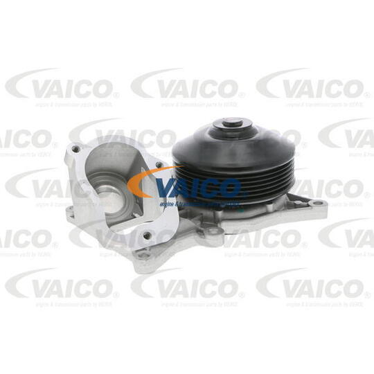 V20-50056 - Water pump 