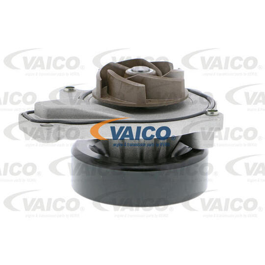 V20-50060 - Water pump 