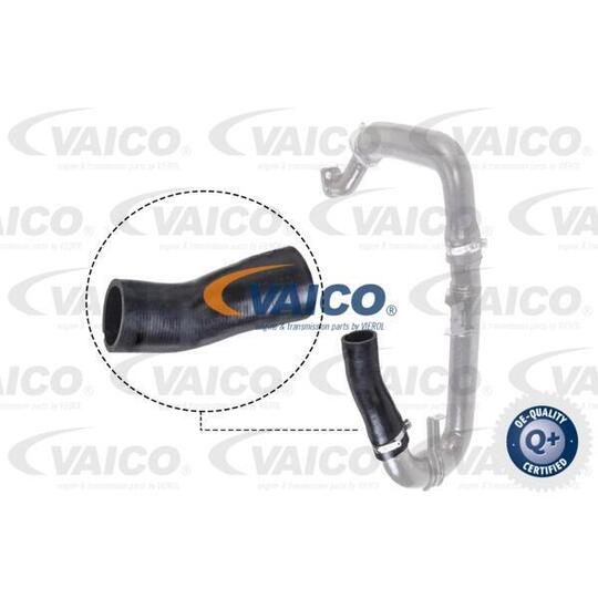 V24-0697 - Charger Intake Hose 