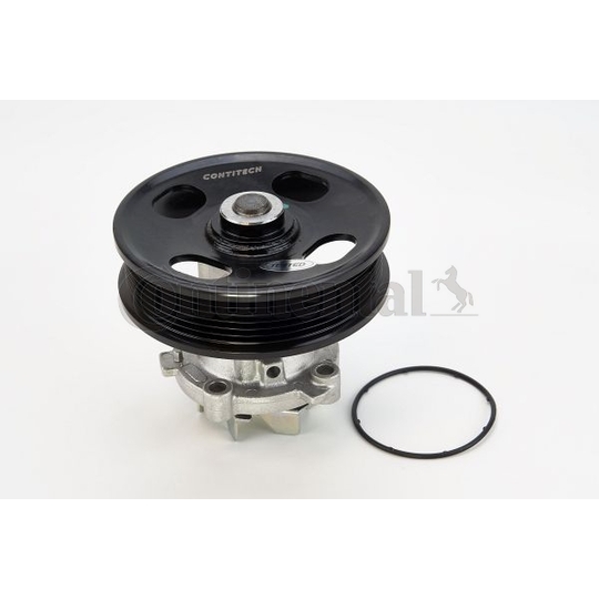 WPS3002 - Water pump 