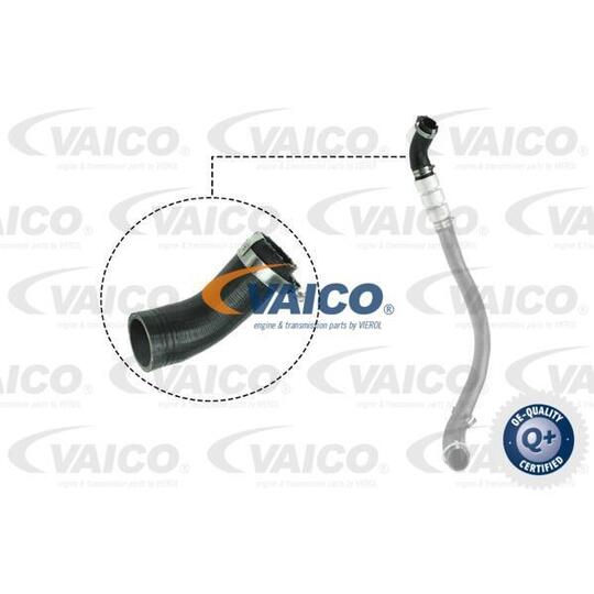 V25-1037 - Charger Intake Hose 