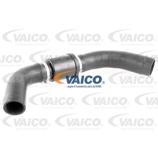 V25-1126 - Radiator Hose 