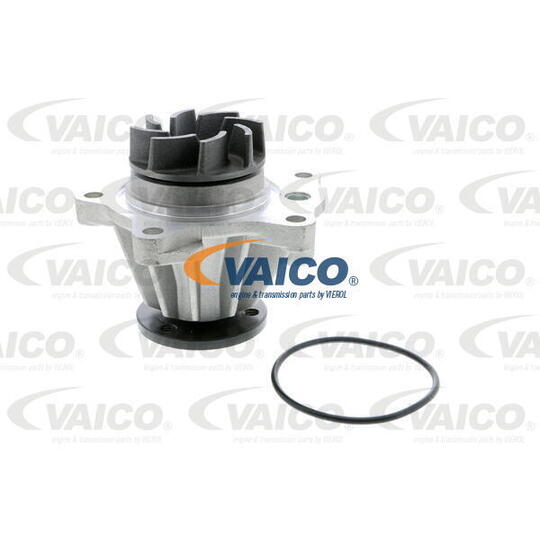 V25-50007 - Water pump 
