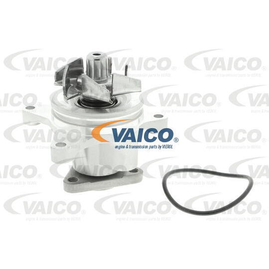 V25-50013 - Water pump 