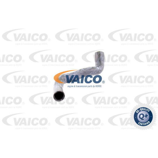 V30-0146 - Radiator Hose 