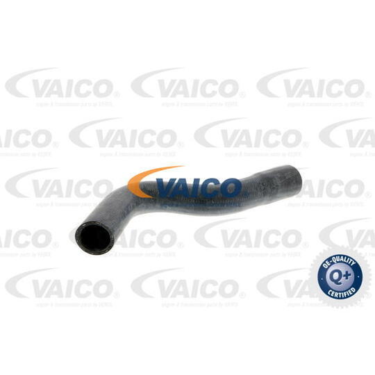 V30-0247 - Radiator Hose 