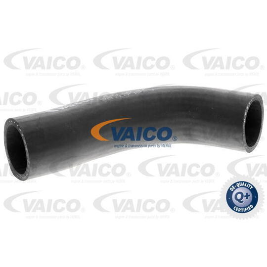 V30-0737 - Radiator Hose 