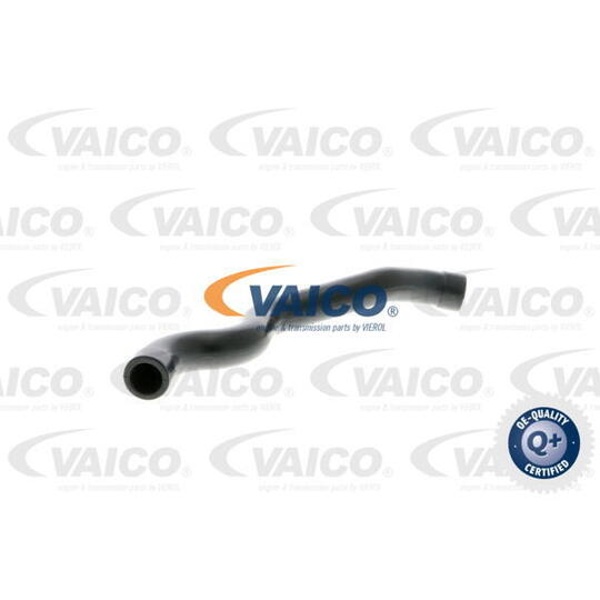 V30-1380 - Hose, cylinder head cover breather 