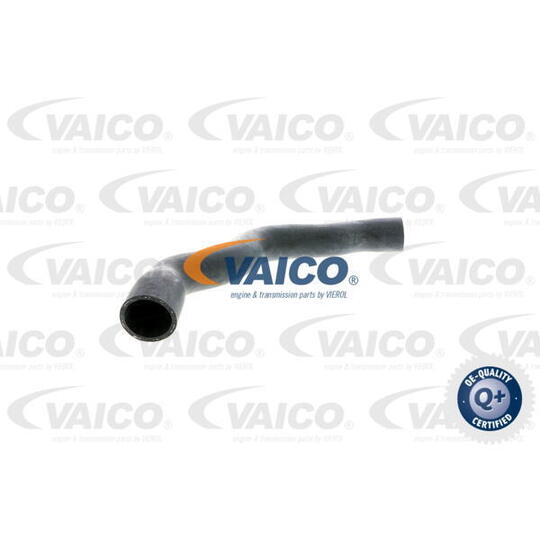 V30-1575 - Radiator Hose 