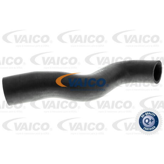 V30-1619 - Radiator Hose 