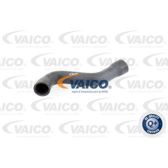 V30-1624 - Radiator Hose 