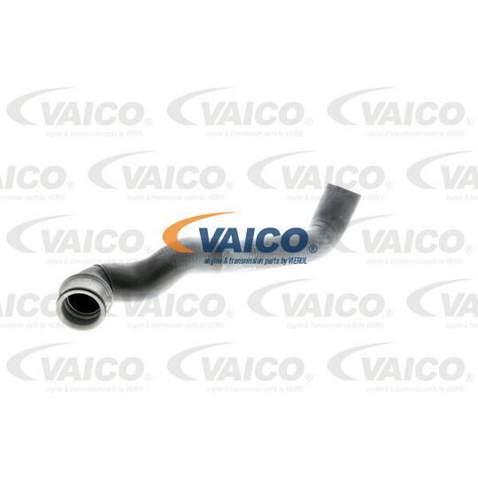 V30-1650 - Radiator Hose 